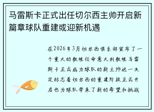 马雷斯卡正式出任切尔西主帅开启新篇章球队重建或迎新机遇